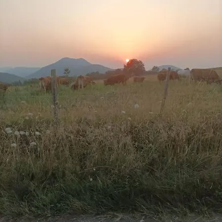 Le Repos Du Voyageur *